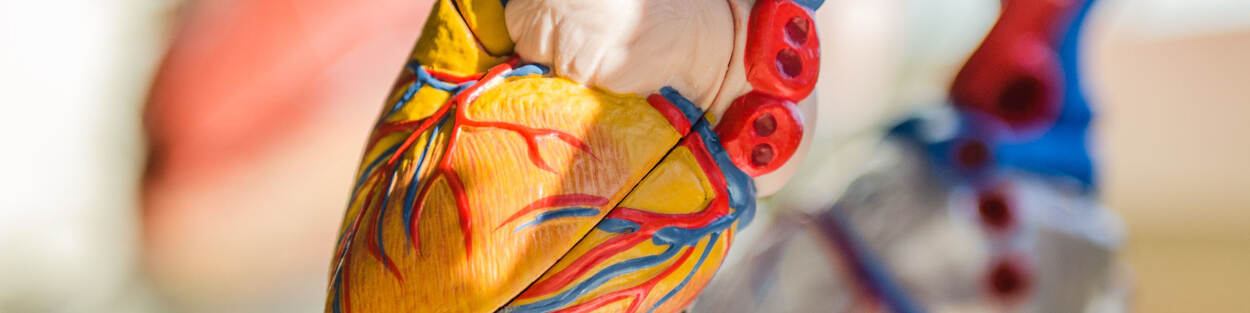 plastic model van hart