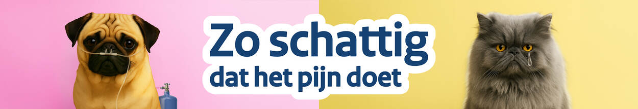 Mopshondje met zuurstoffles achter zich, logo met daarop 'zo schattig dat het pijn doet' en kat met tranende ogen en flesje oogdruppels naast zich.