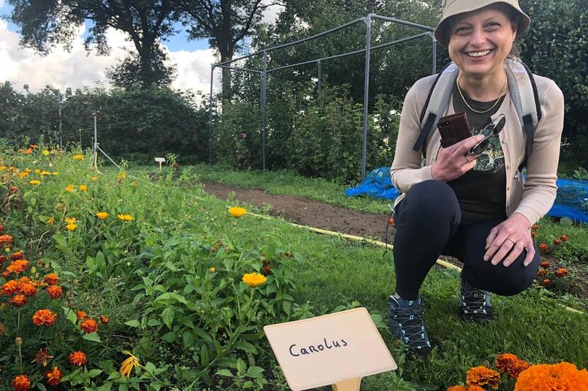 Carola van Rijnsoever bij een bloembed waar de bloem van het type 'Carolus' groeit