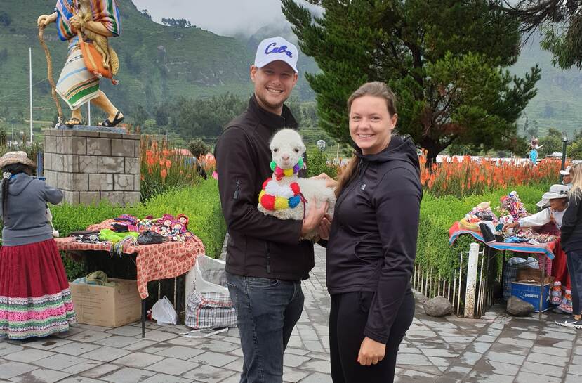 Jonge man en vrouw met baby alpaca op kleurrijke markt