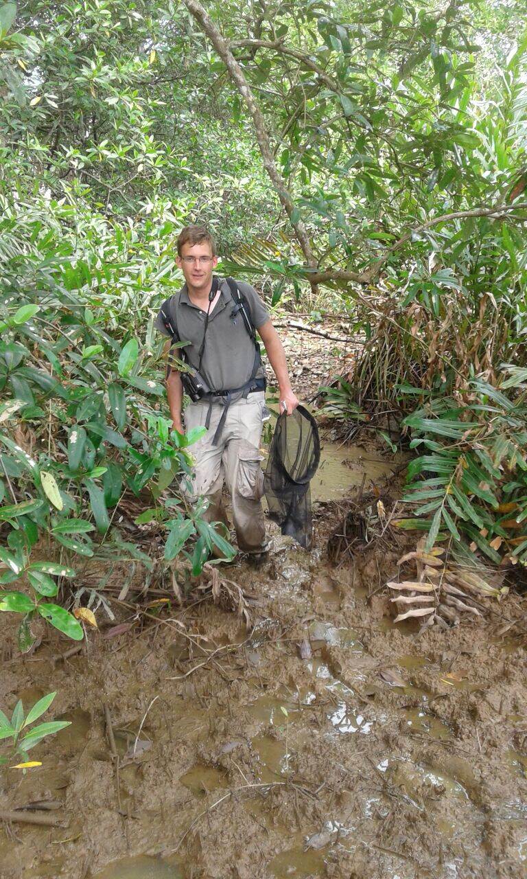Pieter van Eijk in de mangrovemodder in Panama.
