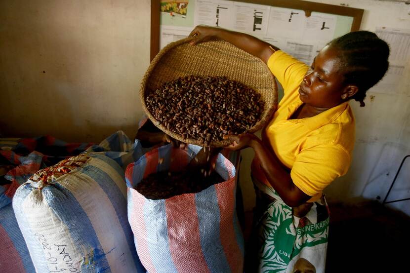 Cacao uit Liberia