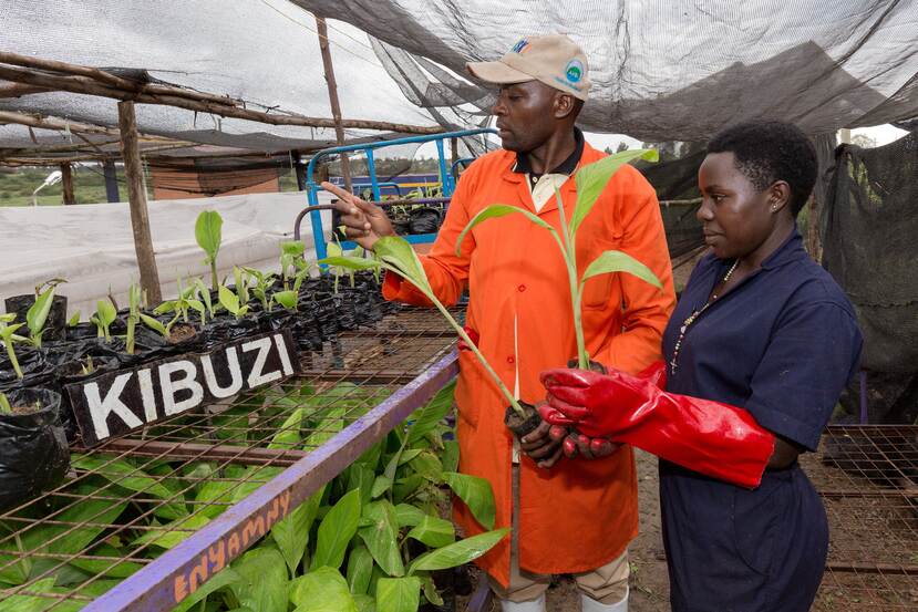 LAndbouwtraining voor Ugandese jongeren