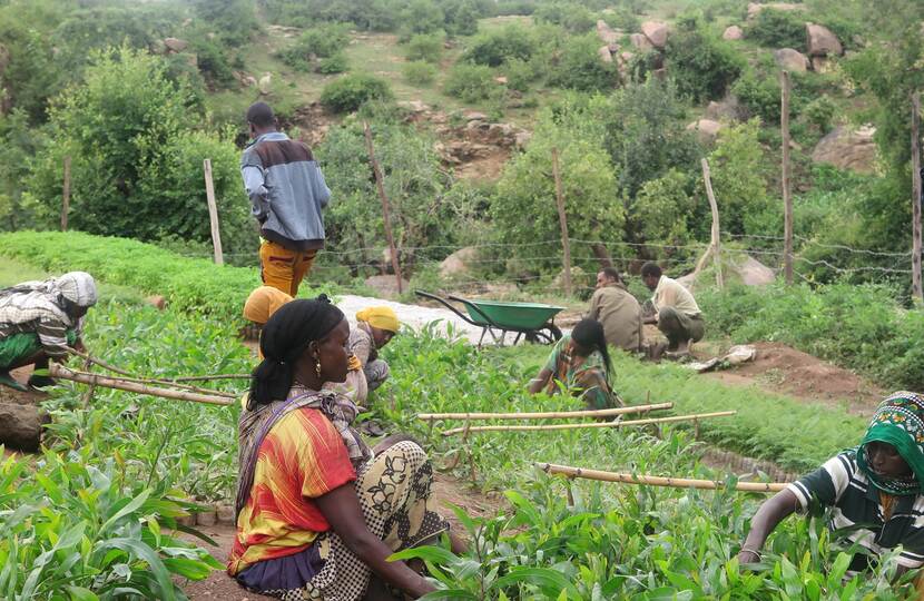 Een prijswinnend Nederlands antwoord op de droogte in Ethiopië