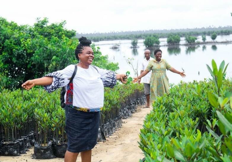 Nigeria Niger Delta mangroveherstel