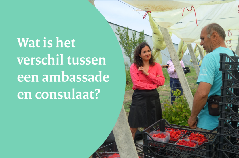 Wat is het verschil tussen een ambassade en een consulaat? Buitenlandse Zaken in begrijpelijke taal
