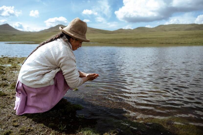 Een nieuw aangelegd infiltratiemeer om het water langzaam in de grond te laten wegzakken.