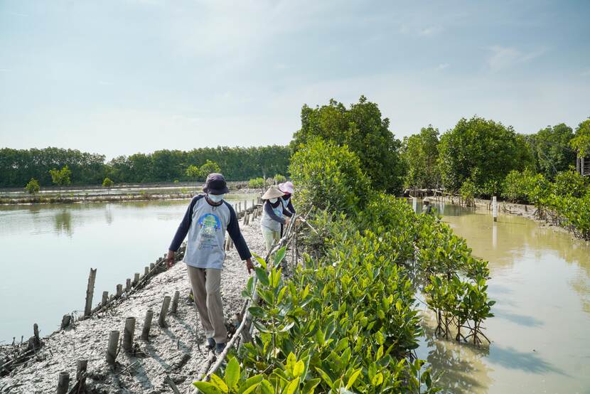 "Building with Nature" in Indonesië
