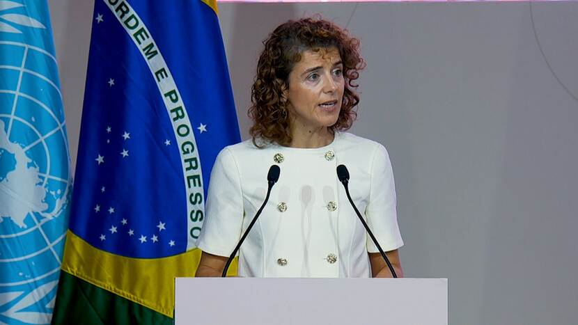 Minister Hermans bij de COP30 in Brazilië