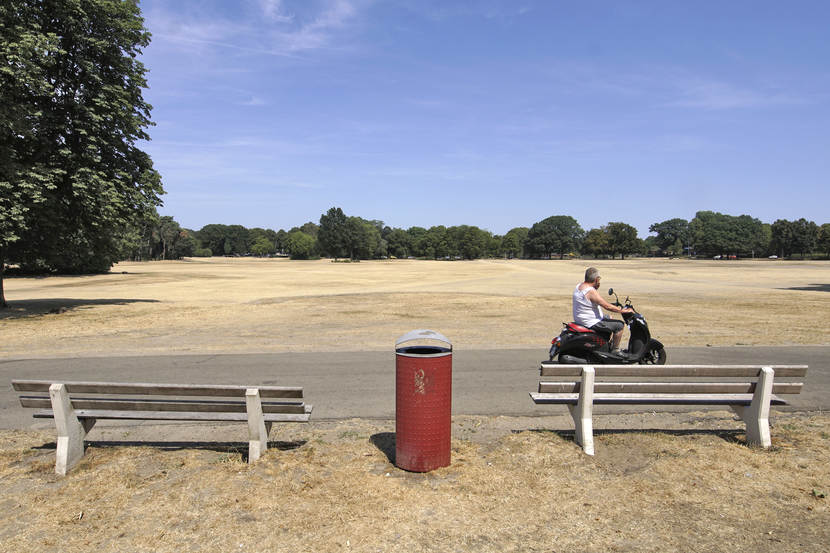 Droog grasveld met twee bankjes en een rode prullenbak en man die op een scooter voorbij rijdt.