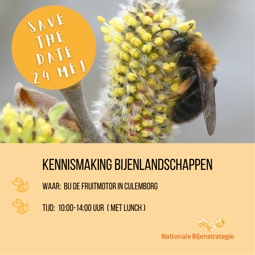 Save the date kennismaking bijenlandschappen