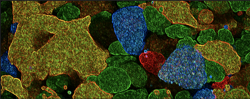 GreenLabs NL, cellen onder een microscoop